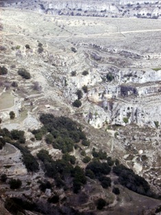 Vistas
